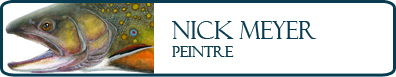 Nick Mayer