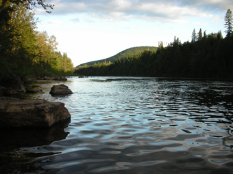 La rivière Cascapédia À la brunante.